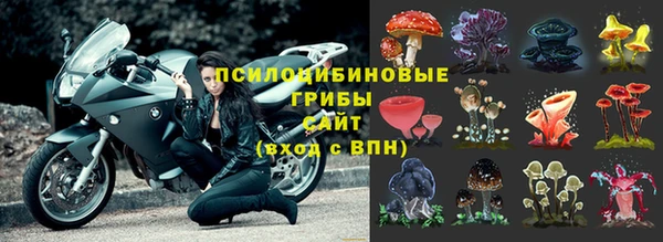 spice Беломорск